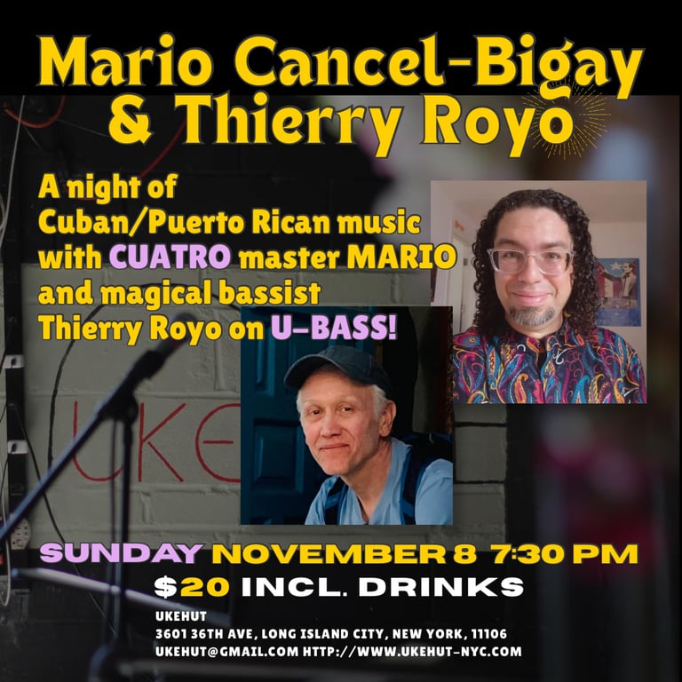 Poster for a live music event featuring two musicians with text and photos.