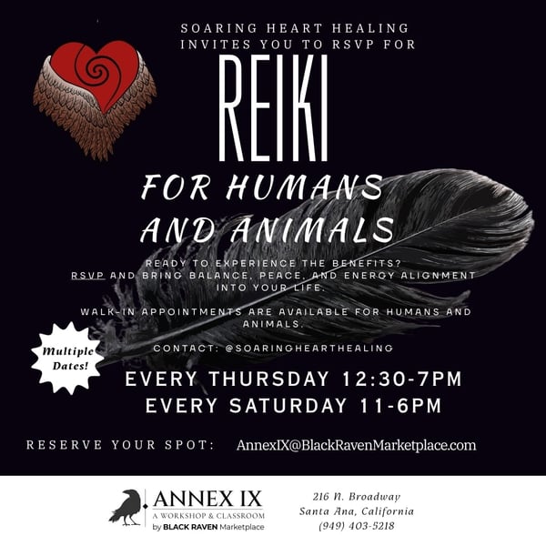 Reiki for Humans and Animals