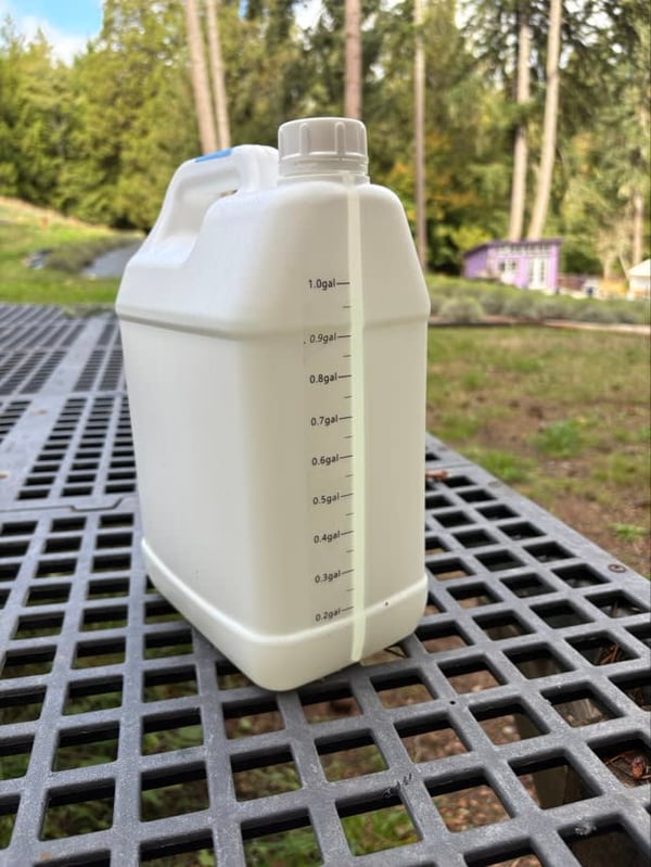 A white plastic jug with gallon markings sits on a metal picnic table.