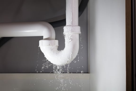 WATER DAMAGE SERVICE COMPLETED IN STRAWBERRY LAKES