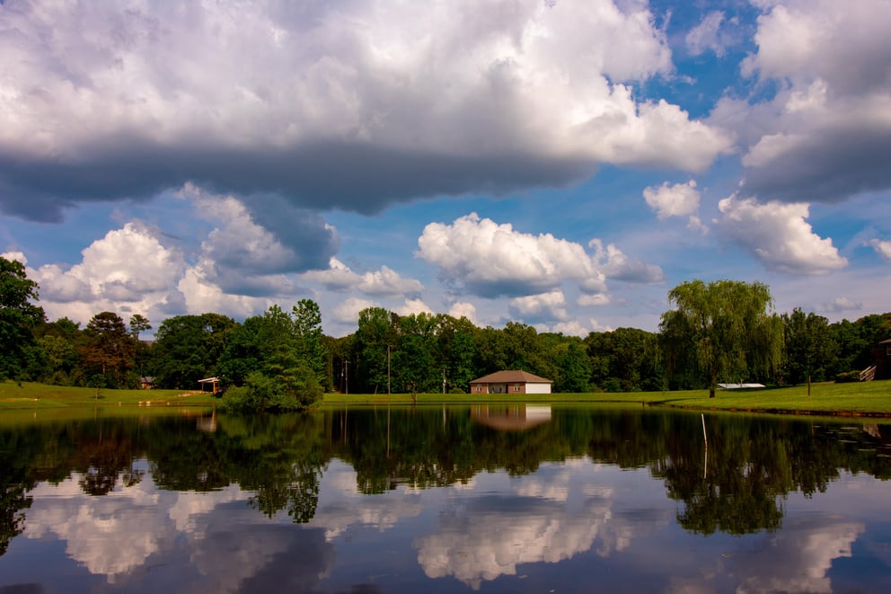 Alabaster Online Counseling Services