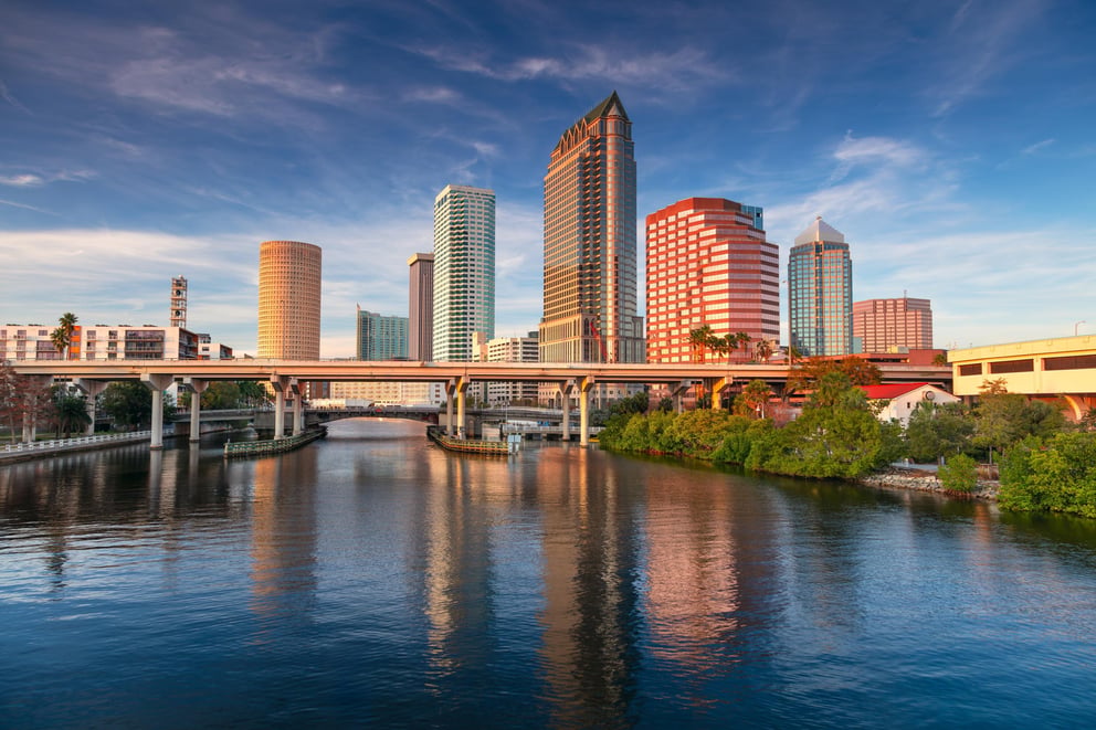 Tampa Online Counseling Services