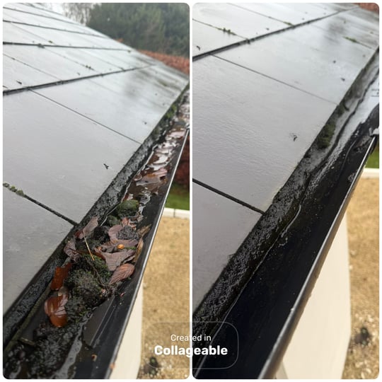 Gutter Cleaning