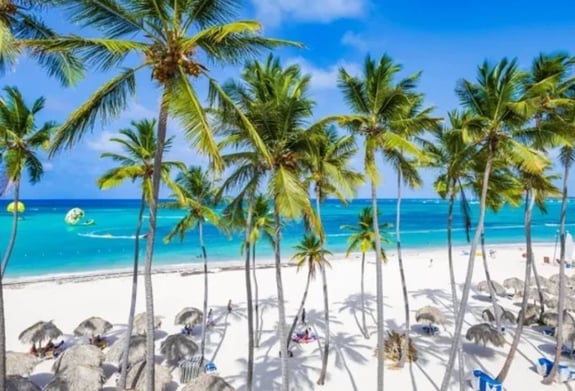 Tropical beach with palm trees, white sand, and turquoise water.