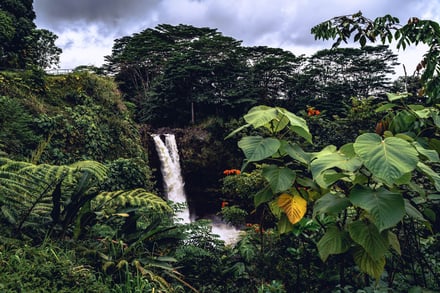 Rainbow Falls